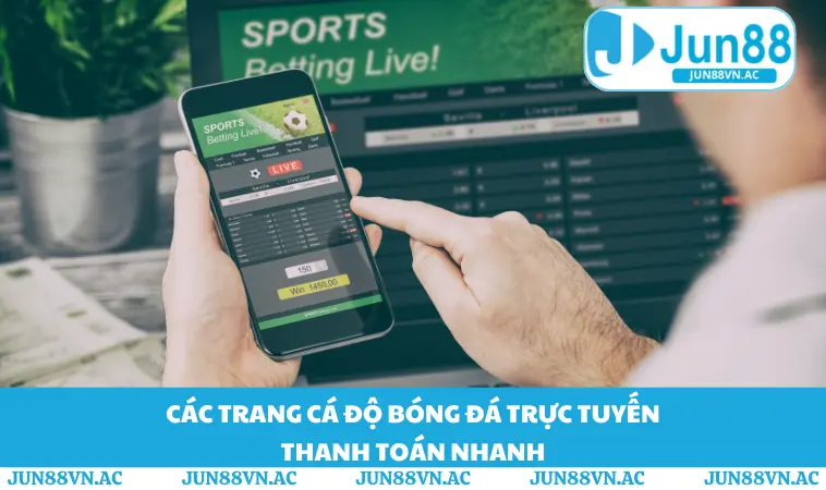 Các Trang Cá Độ Bóng Đá Trực Tuyến Uy Tín Top Đầu 2026 1 Các trang cá độ bóng đá trực tuyến thanh toán nhanh
